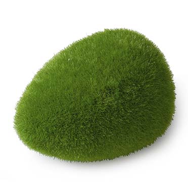 Moss ball - <Product shot>