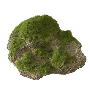 Moss stone with suction cup - <Product shot>
