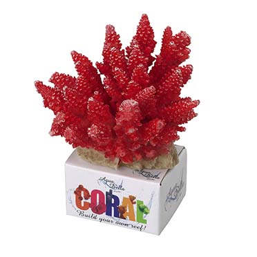 Coral module acropora rouge - Product shot
