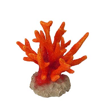 Coraal seriatopora orange - Product shot