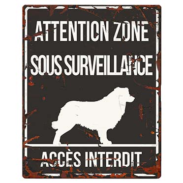 Warning sign square collie f black - Product shot