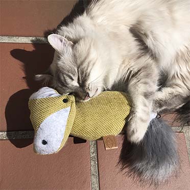 Cat toy rocco catnip cuddle chenille jaune - Sceneshot 2