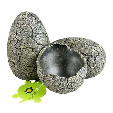Eieren - Verpakkingsbeeld
