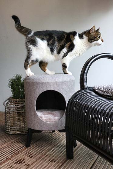 Louis cat house taupe - Sceneshot