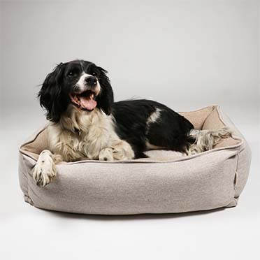 Bob panier pour chiens beige - Sceneshot