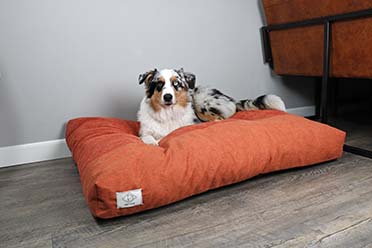 Ellis dog cushion orange - Sceneshot