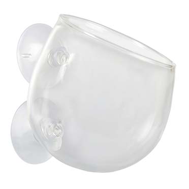 Plant cup glas transparant - Detail 1
