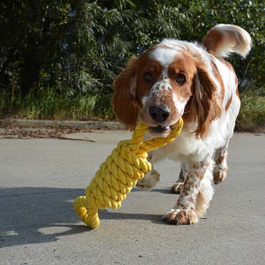 'tug life' playing rope 2 loops yellow - Sceneshot 2