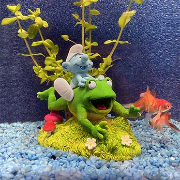 Smurfs forest frog multicolour - Sceneshot