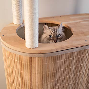 Cat tree Bamboo Tori 113 beige - Sceneshot 2