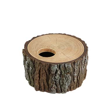 Reptile nesting cave tree brown - <Product shot>