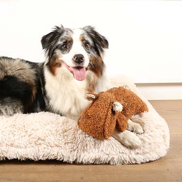 Emmy teddy fabric dog toy brown - Sceneshot