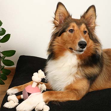 Levi rosewood dog toy pink - Sceneshot