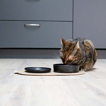 Jasper cat food and drink bowl black dots - Detail 1