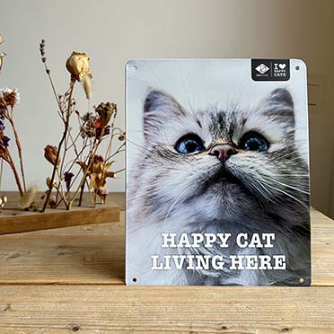 I love happy cats sign 'living here' multicolour - Sceneshot 2