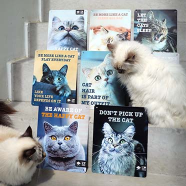 I love happy cats bord 'let the cats sleep' meerkleurig - Sceneshot 2