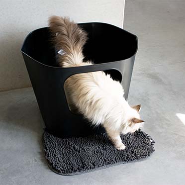 Dean - open recycled cat toilet black - Sceneshot 2