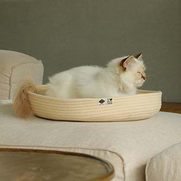 Jess — panier pour chat beige - Sceneshot 2