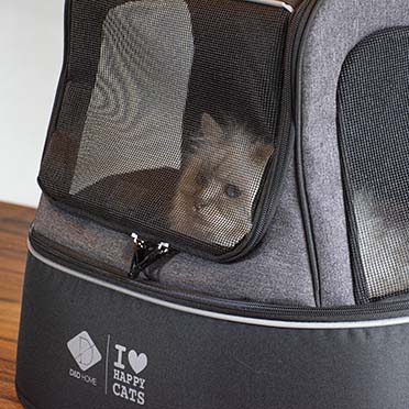 Phoebe — sac de transport pour chat noir - Sceneshot