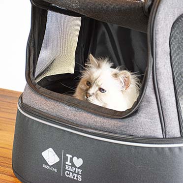 Phoebe — sac de transport pour chat noir - Sceneshot 2