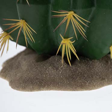 Echinocactus 1 vert - Detail 1