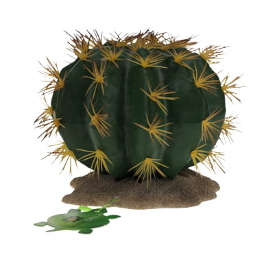 Echinocactus 1 vert - Verpakkingsbeeld