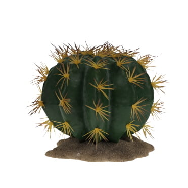 Echinocactus 1 green - Product shot