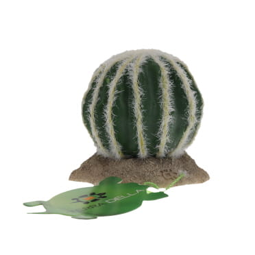 Echinocactus grün - Verpakkingsbeeld