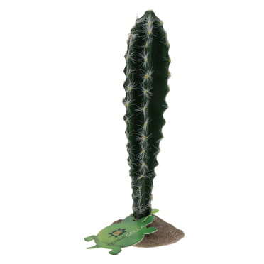 Cactus cylindrique 1 vert - Verpakkingsbeeld