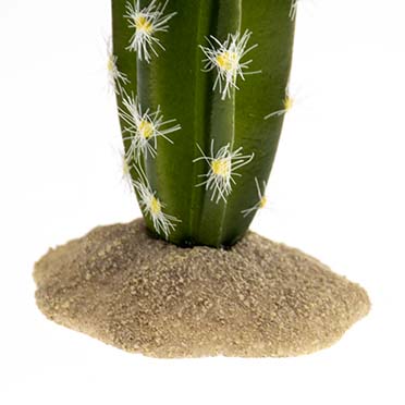 Cactus columnar 2 green - Detail 1