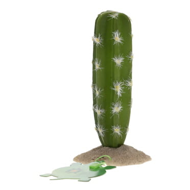 Cactus cylindrique 2 vert - Verpakkingsbeeld