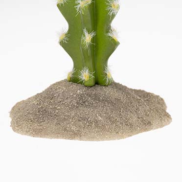 Cactus columnar 3 green - Detail 1