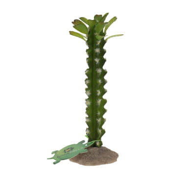 Cactus columnar 3 green - Facing