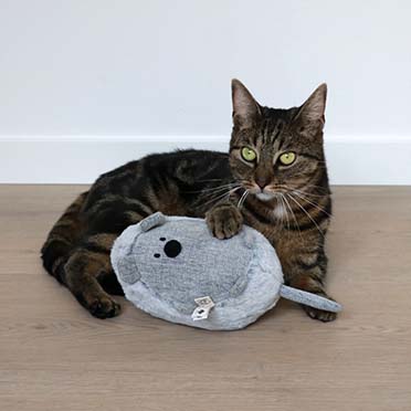 Cat kicking cushion bowie gris - Sceneshot
