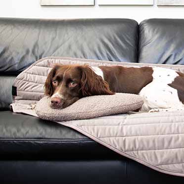 Pebble - dog head pillow taupe - Sceneshot