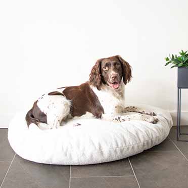 Pebble - dog cushion white - Sceneshot