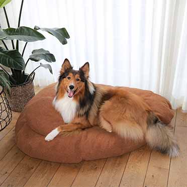 Pebble - dog cushion orange - Sceneshot 2