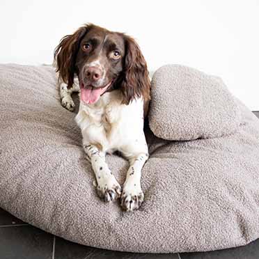 Pebble - dog cushion taupe - Sceneshot 2