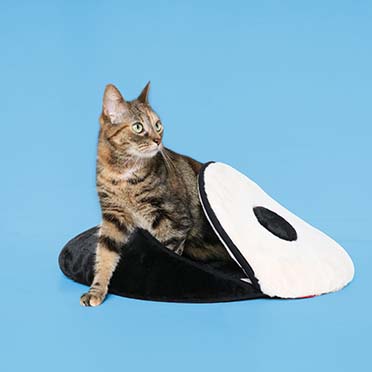 Kattenslaapplaats ZEN ZONE Zwart/wit - Sceneshot
