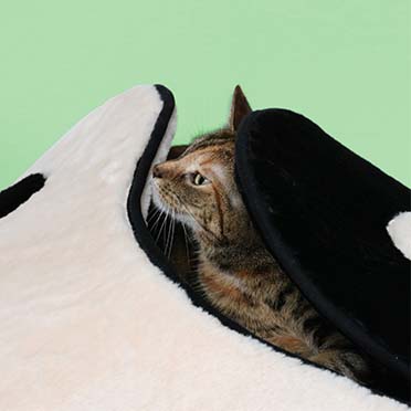Kattenslaapplaats ZEN ZONE Zwart/wit - Sceneshot 3