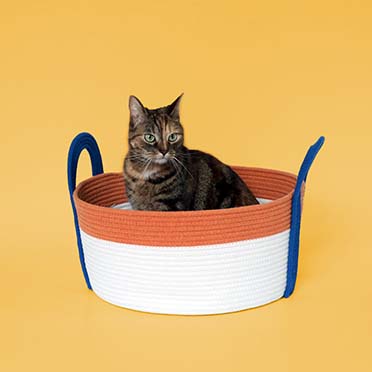 Lugar para dormir de gatos BINGE Naranja/azul - Sceneshot