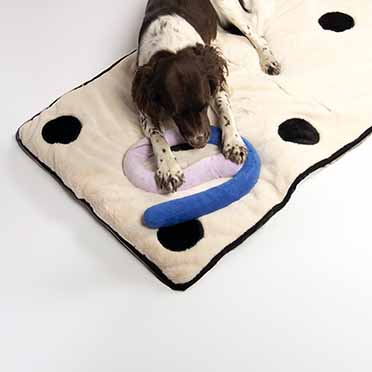 Couverture pour chien DOMINO DREAM Blanc/noir - Sceneshot