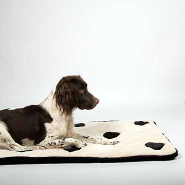 Couverture pour chien DOMINO DREAM Blanc/noir - Sceneshot 2