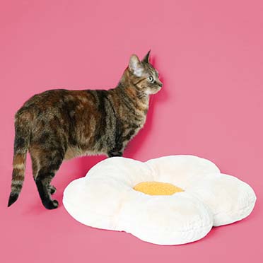 Kussen LAZY DAISY Beige/geel - Sceneshot 2