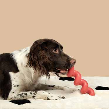 Jouet pour chien squiggle rouge - Sceneshot