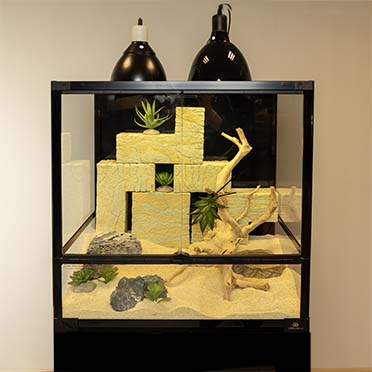 Terrarium knockdown Zwart - Sceneshot 2