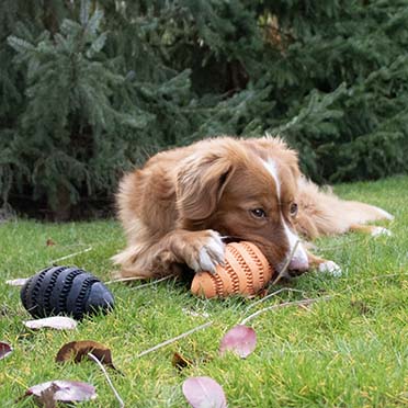 Snackspeeltje Nibble me Rugby Zwart - Sceneshot 3