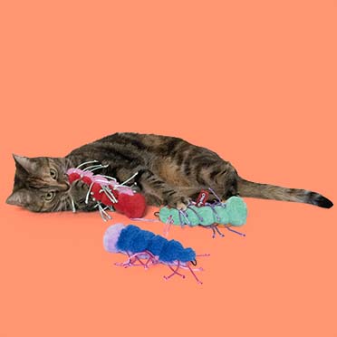 Jouet pour chat RAZZLE RUBY Couleurs mélangées - Sceneshot 2