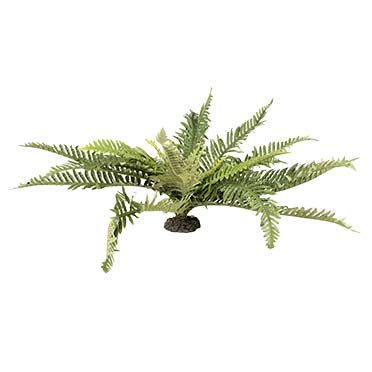 Plante artificielle fougère Vert - Facing