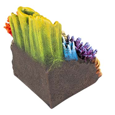 Koraalgrot hoek Meerkleurig - Detail 2